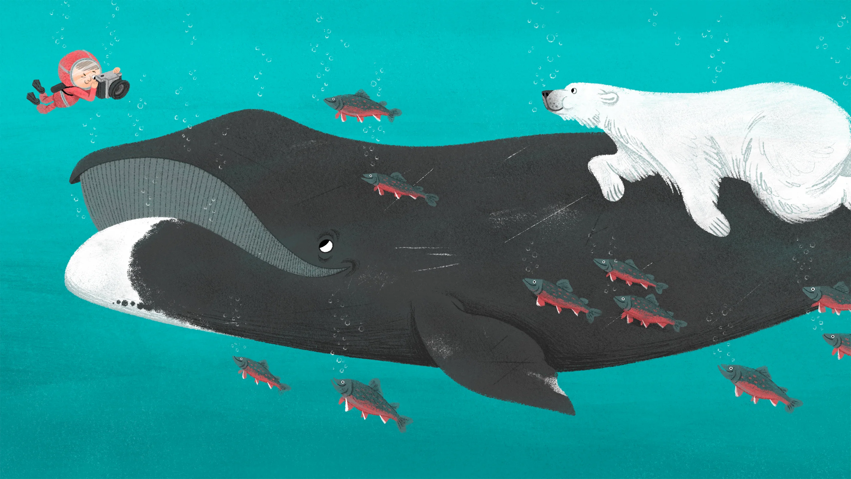 Illustration by Simone Fumagalli, work 24